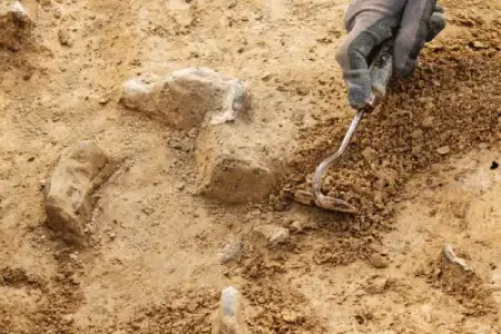 Closed image alt text